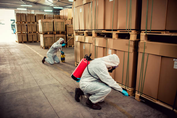 Professional Pest Control in Marshallville, GA