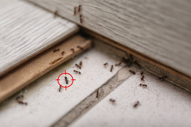 Marshallville, GA Pest Control Pros