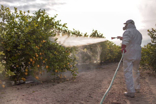 Best Pest Control Treatment  in Marshallville, GA