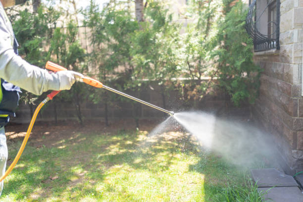 Best Local Pest Control Services  in Marshallville, GA