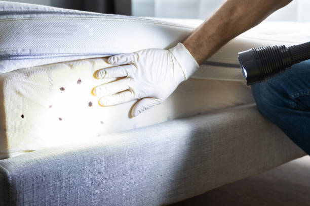 Best Pest Control Cost  in Marshallville, GA