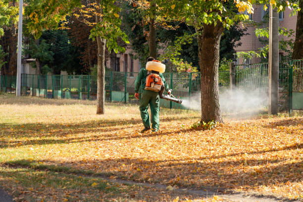 Best Spider Control Near Me  in Marshallville, GA