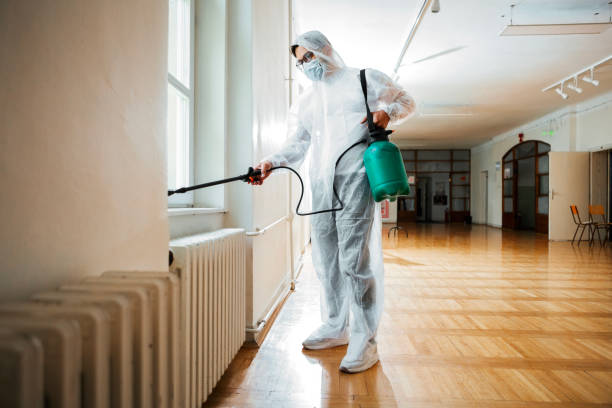 Best Wasp Removal Services  in Marshallville, GA