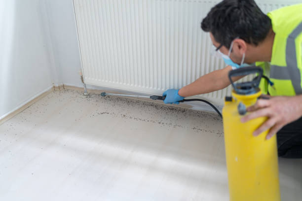 Best Termite Control Services  in Marshallville, GA