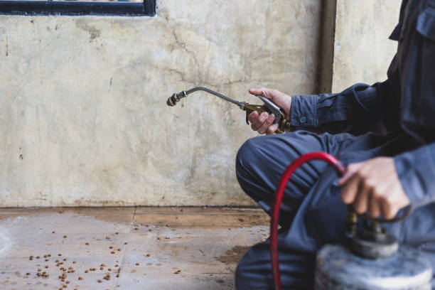 Best Affordable Pest Control Services  in Marshallville, GA