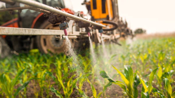 Pest Control Cost in Marshallville, GA